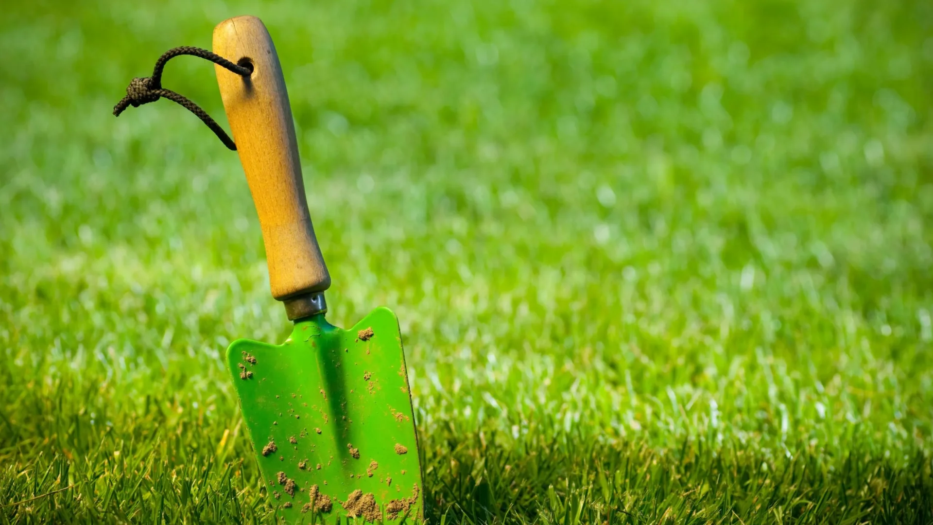 Reuni Vert Paysagiste Chinon Simplifiez Lentretien De Vos Jardins